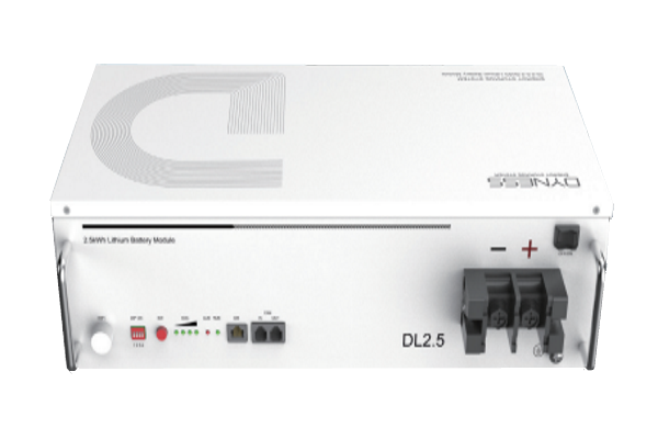 Dyness Battery DL 2.56kWh 100Ah